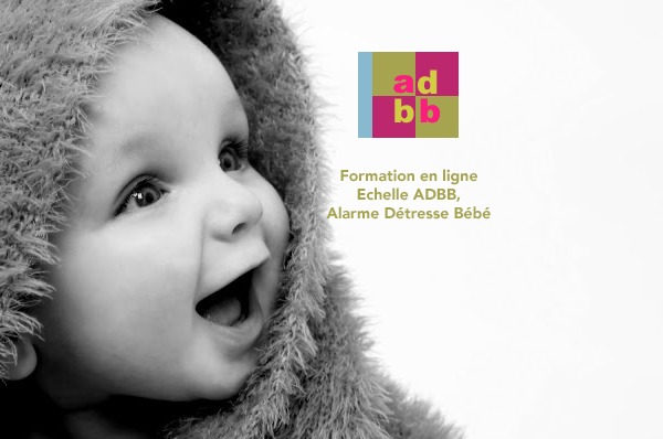 Formation en ligne à l'échelle Alarme Détresse Bébé